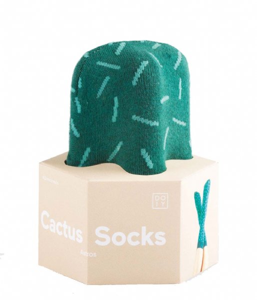 DOIY Sock Cactus Socks astros