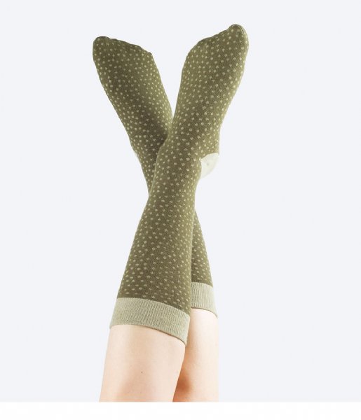 DOIY Sock Cactus Socks mammillaria