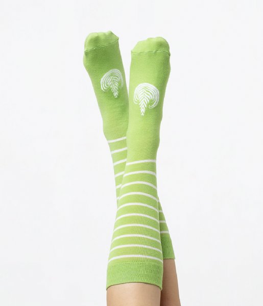 DOIY Sock Latte Socks matcha