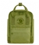 Fjallraven Everday backpack Re-Kanken Mini spring green (607)