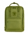 Fjallraven Everday backpack Re-Kanken spring green (607)