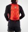 Fjallraven Everday backpack Abisko Hike flame orange (214)