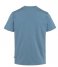 Fjallraven T shirt Fox Boxy Logo Tee W Dawn Blue (543)