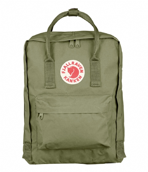 Fjallraven Everday backpack Kanken green (620)