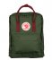 Fjallraven Everday backpack Kanken forest green-ox red (660-326)