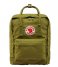 Fjallraven Everday backpack Kanken guacamole (612)