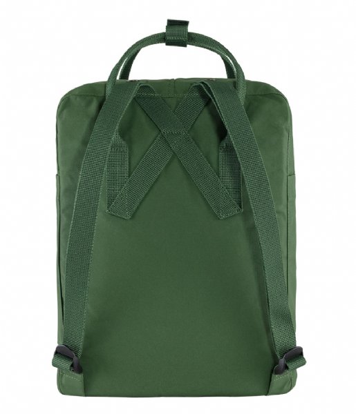 Fjallraven Everday backpack Kanken spruce green (621)
