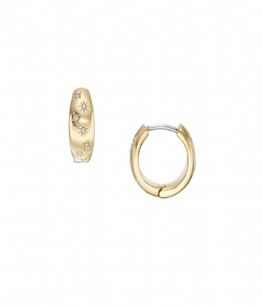 Fossil Earring Sadie JF04240710 Gold