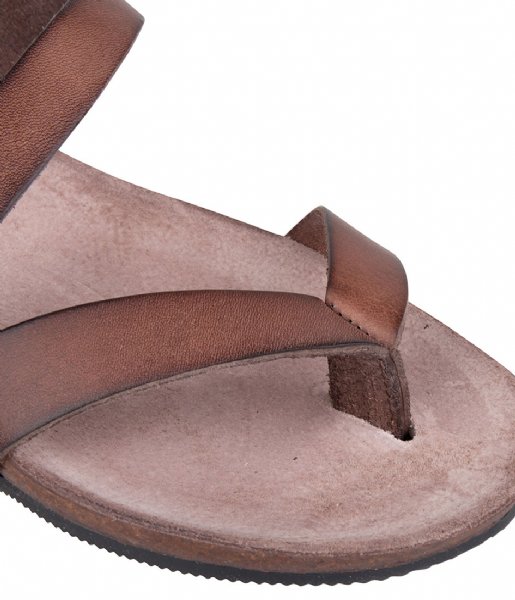 Fred de la Bretoniere Sandal Sandal Flip Flop Smooth smooth dark brown