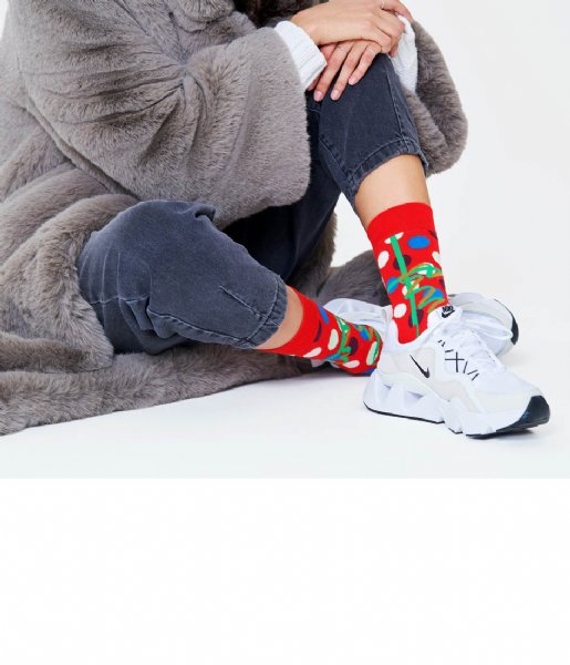 Happy Socks Sock Christmas Gift Socks christmas gift (4300)