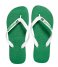 Havaianas Flip flop Flipflops Brasil Layers green (2703)