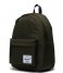 Herschel Supply Co. Everday backpack Herschel Classic Backpack Ivy Green (04281)