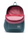 Herschel Supply Co. Everday backpack Settlement Sprout arctic (03254)