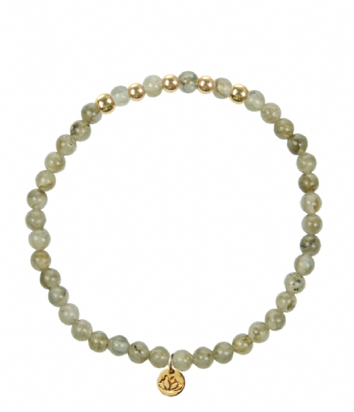 MAS Jewelz Bracelet Armband Labradoriet Beads labradoriet & goud