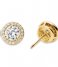 Michael Kors Earring Stud Earrings MKC1035AN710 Gold colored