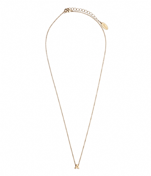Orelia Necklace Necklace Initial A pale gold plated (10366)