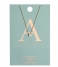 Orelia Necklace Necklace Initial A pale gold plated (10366)