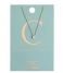 Orelia Necklace Necklace Initial C pale gold plated (10363)