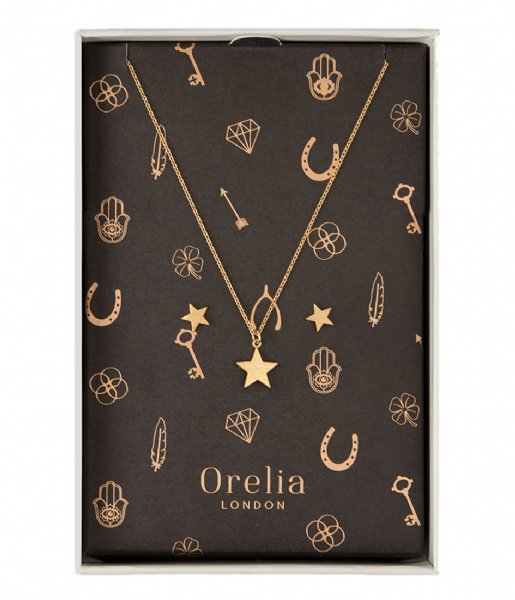 Orelia Earring Brushed Star Giftbox gold plated (22390)