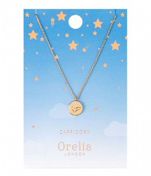 Orelia Necklace Capricorn Constellation Necklace pale gold (20657)