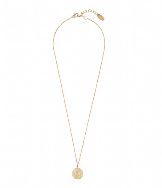 Orelia Necklace Engrave Coin Ditsy Necklace pale gold (22047)