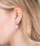 Orelia Earring Mini Coin Hoop Earring silver (22701)