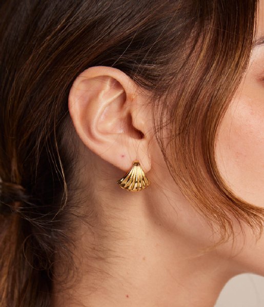 Orelia Earring Scallop Fan Earring Pale Gold