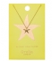 Orelia Necklace Starfish Ditsy Necklace pale gold
