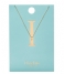 Orelia Necklace Necklace Initial I pale gold (ORE21146)