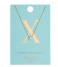 Orelia Necklace Necklace Initial X pale gold (ORE21168)