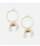 Orelia Earring Horn And Hoop Earrings pale gold plated (22895)