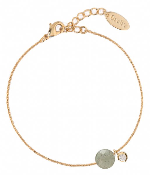 Orelia Bracelet Faced Stone Adjustable Bracelet  pale gold (22806)