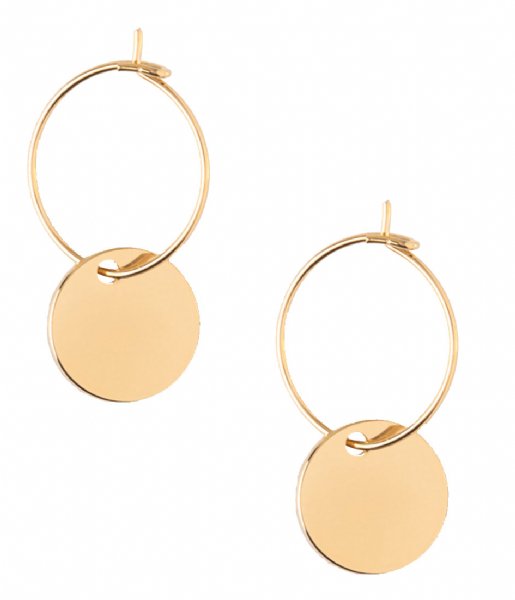 Orelia Earring Mini Coin Hoop Earring pale gold (22228)