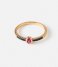 Orelia Ring Oval Jewel Ring pale gold plated (23353)