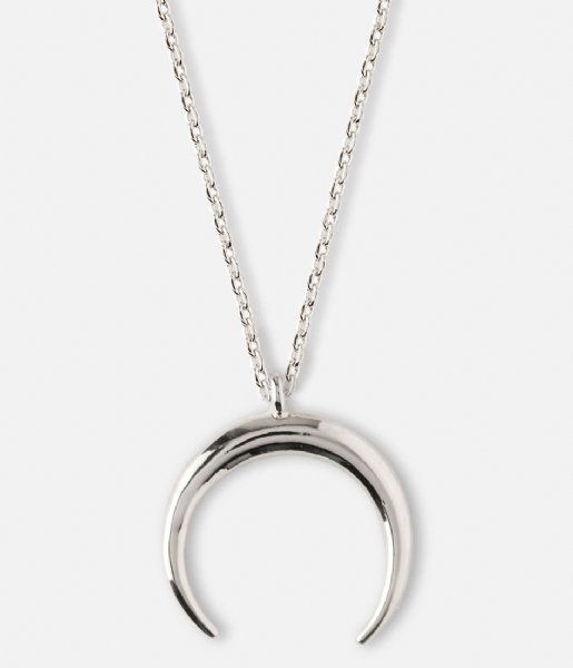 Orelia Necklace Crescent Ditsy Necklace silver plated (ORE23097)