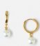 Orelia Earring Pearl Drop Huggie Hoops gold plated (ore25004)