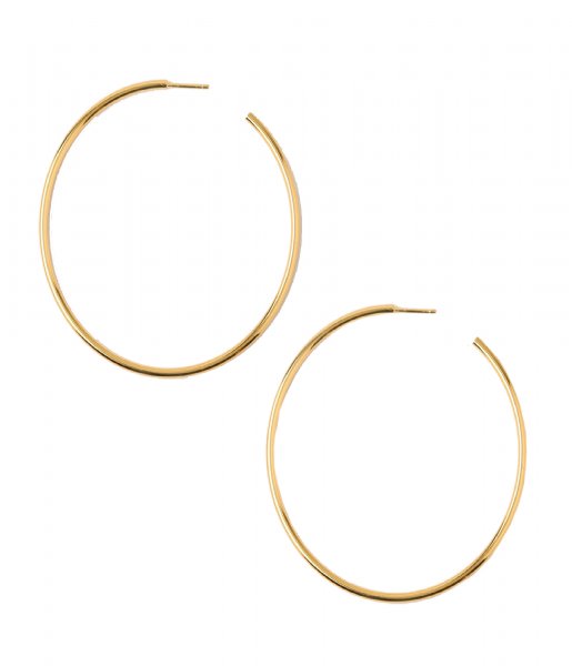 Orelia Earring Chunky Large Size Hoops pale gold plated (ORE25053)