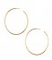 Orelia Earring Chunky Large Size Hoops pale gold plated (ORE25053)