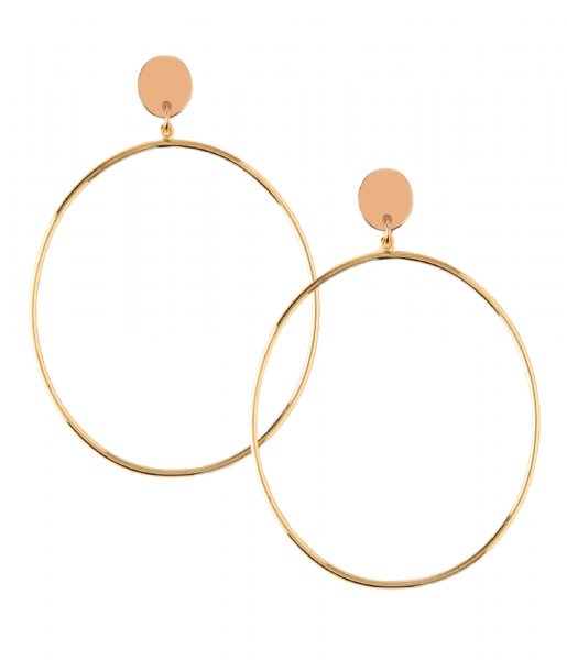 Orelia Earring Disc Hoop Drop Earrings pale gold plated (ORE24067)