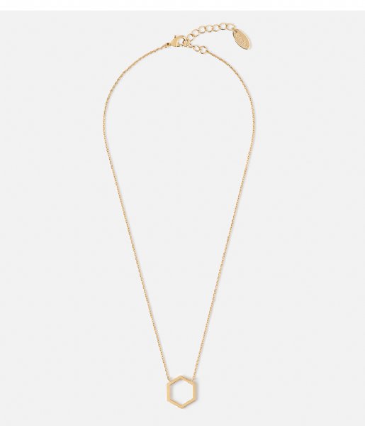 Orelia Necklace Cutout Hexagon Charm Necklace gold plated (ORE24107)