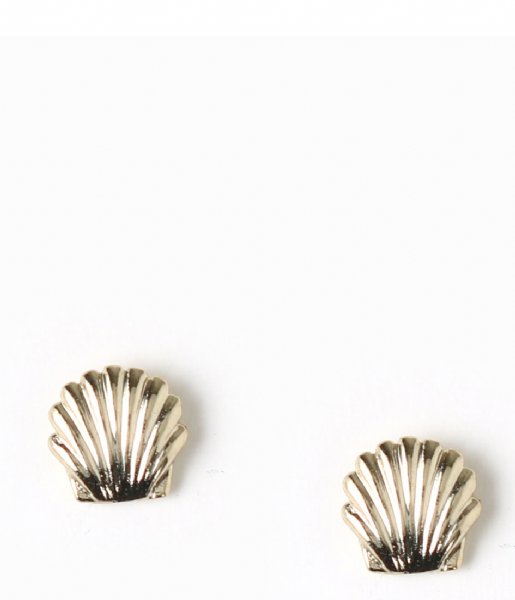 Orelia Earring Shell Stud Earrings gold plated (ORE25407)