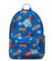Parkland Everday backpack Bayside coco (00308)