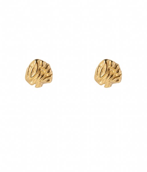 The Little Green Bag Earring Leaf Studs X My Jewellery gold colored