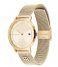 Tommy Hilfiger Watch Tea Gold Plated