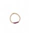 A Beautiful Story Ring Beauty Garnet Gold Ring M/L goud (BL25036)