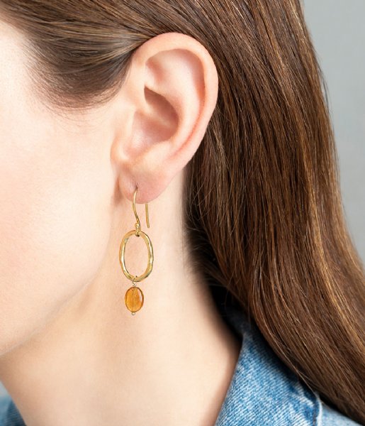 A Beautiful Story Earring Graceful Citrine Gold Plated Earrings gold plated (AW25134)