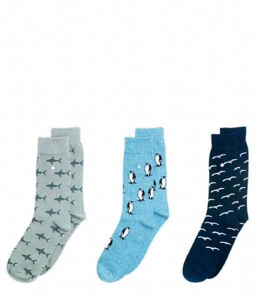 Alfredo Gonzales Sock Animals Birds  Penguins and Sharks As it is (0)