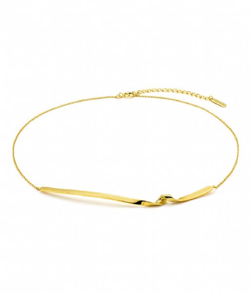 Ania Haie Necklace Giftset Helix Lariat and twist Necklace Gold colored
