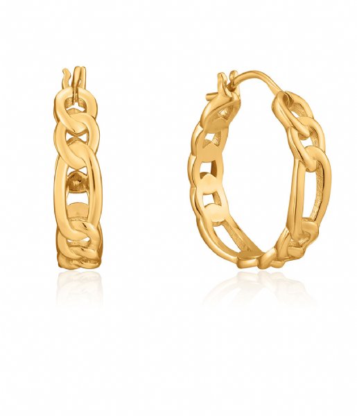 Ania Haie Earring AH E021-04G 925 Sterling Zilver Chain Reaction Zilver geelgoudverguld