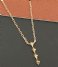 Ania Haie Necklace AH N025-01G 925 Sterling Zilver Spike it up Gold colored